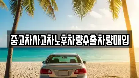 충청남도 공주시 웅진동 중고차매매 전문 중고차사고차노후차량수출차량매입