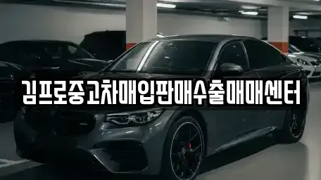 충청남도 공주시 웅진동 중고차매입 전문 김프로중고차매입판매수출매매센터