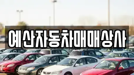 충청남도 예산군 신암면 중고차매매 전문 예산자동차매매상사