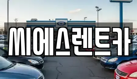 충청남도 예산군 예산읍 렌트카 전문 씨에스렌트카