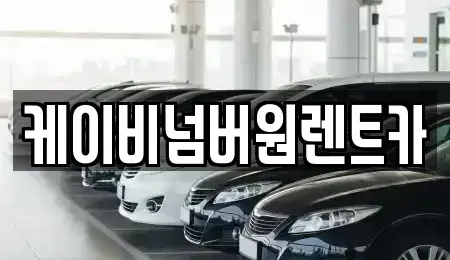 충청남도 예산군 예산읍 렌트카 전문 케이비넘버원렌트카