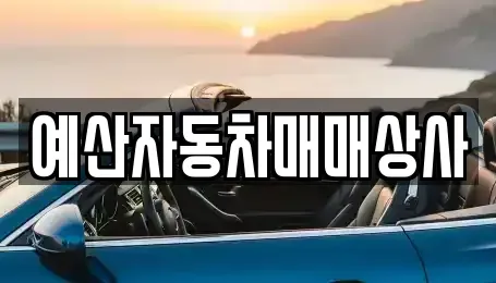 충청남도 예산군 예산읍 중고차매매 전문 예산자동차매매상사