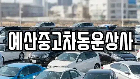 충청남도 예산군 예산읍 중고차매매 전문 예산중고차동운상사