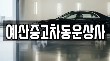 충청남도 예산군 예산읍 중고차매매,단기렌트카,중고차매입,장기렌트카,중고차,렌트카