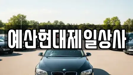 충청남도 예산군 예산읍 중고차매매 전문 예산현대제일상사