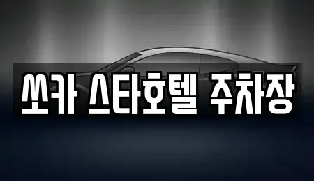 충청남도 천안시 동남구 대흥동 렌트카 전문 쏘카 스타호텔 주차장