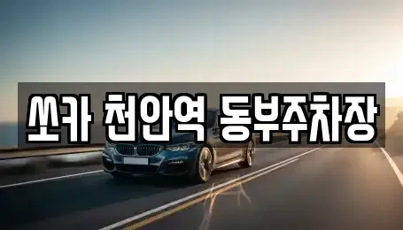 충청남도 천안시 동남구 대흥동 렌트카 전문 쏘카 천안역 동부주차장