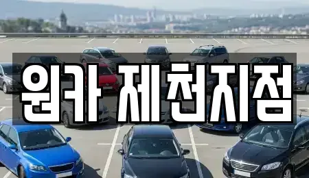 충청북도 제천시 청전동 렌트카 전문 원카 제천지점