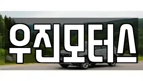 충청북도 제천시 청전동 중고차매매 전문 우진모터스