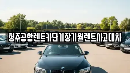 충청북도 청주시 단기렌트카 전문 청주공항렌트카단기장기월렌트사고대차