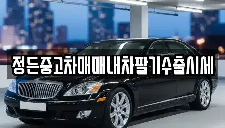 충청북도 청주시 상당구 대성동 중고차 전문 정든중고차매매내차팔기수출시세