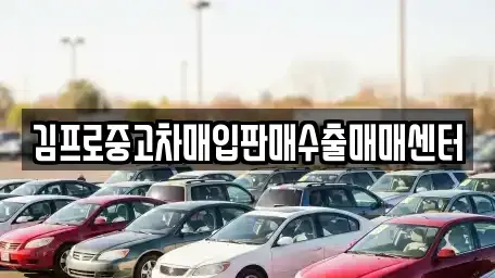 충청북도 청주시 상당구 대성동 중고차매입 전문 김프로중고차매입판매수출매매센터