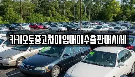 충청북도 청주시 상당구 대성동 중고차매입 전문 카카오토중고차매입매매수출판매시세