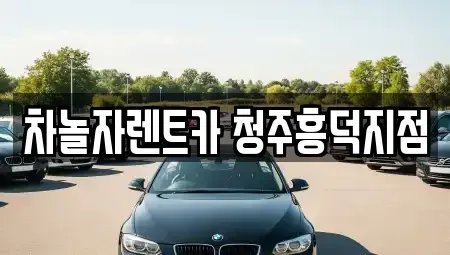 충청북도 청주시 서원구 미평동 렌트카 전문 차놀자렌트카 청주흥덕지점