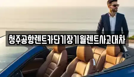 충청북도 청주시 서원구 현도면 단기렌트카 전문 청주공항렌트카단기장기월렌트사고대차