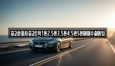 충청북도 청주시 서원구 현도면 중고차매입 전문 중고화물차중고트럭1톤2.5톤3.5톤4.5톤5톤매매수출매입