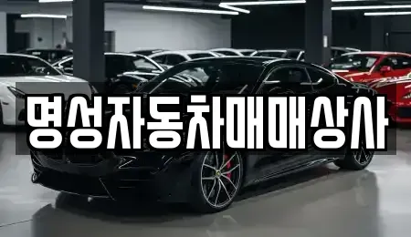 충청북도 청주시 중고차매매 전문 명성자동차매매상사