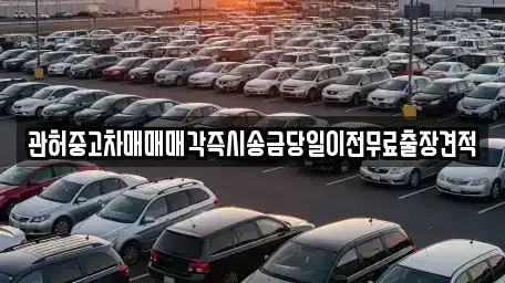 충청북도 청주시 청원구 북이면 중고차 전문 관허중고차매매매각즉시송금당일이전무료출장견적