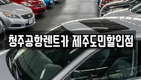 충청북도 청주시 청원구 외평동 렌트카 전문 청주공항렌트카 제주도민할인점