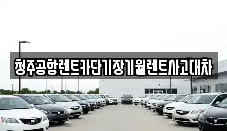 충청북도 청주시 청원구 외평동 렌트카 전문 청주공항렌트카단기장기월렌트사고대차