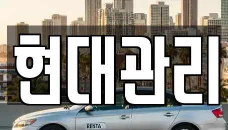 충청북도 청주시 청원구 외평동 렌트카 전문 현대관리