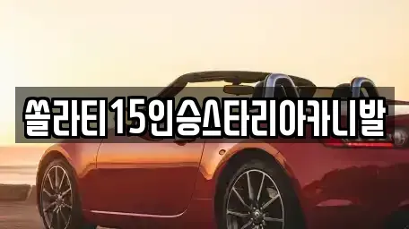 충청북도 충주시 교현동 렌트카 전문 쏠라티15인승스타리아카니발
