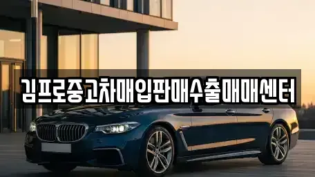 충청북도 충주시 교현동 중고차 전문 김프로중고차매입판매수출매매센터