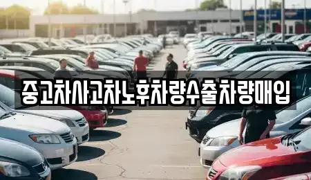 충청북도 충주시 교현동 중고차 전문 중고차사고차노후차량수출차량매입