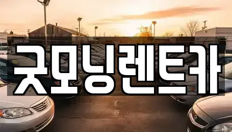 충청북도 충주시 렌트카 전문 굿모닝렌트카