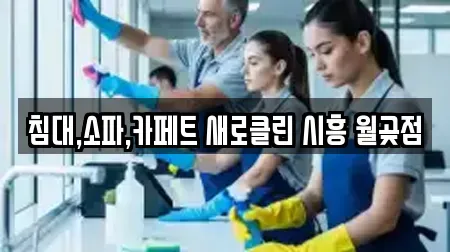 침대,소파,카페트 새로클린 시흥 월곶점