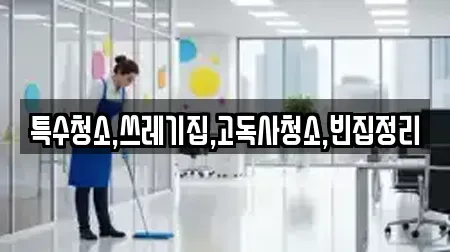 특수청소,쓰레기집,고독사청소,빈집정리