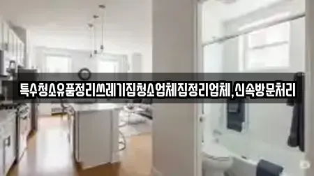 특수청소유품정리쓰레기집청소업체집정리업체,신속방문처리
