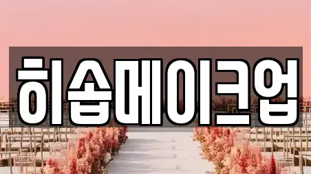 히솝메이크업